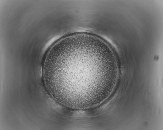 X0000092081317200709191217