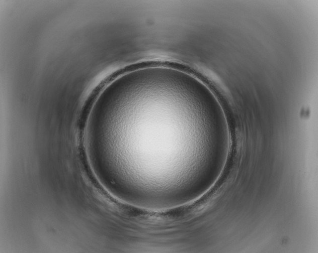 X0000092081318200709191217