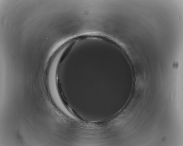 X0000092081319200709191217