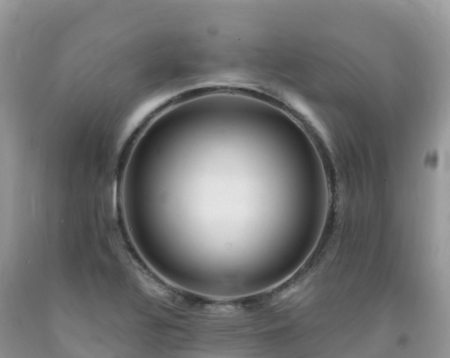 X0000092081320200709191217