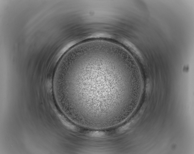 X0000092081321200709191217