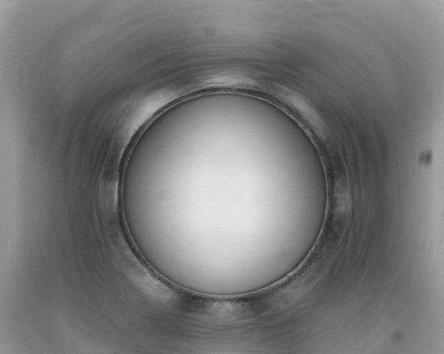 X0000092081322200709191217