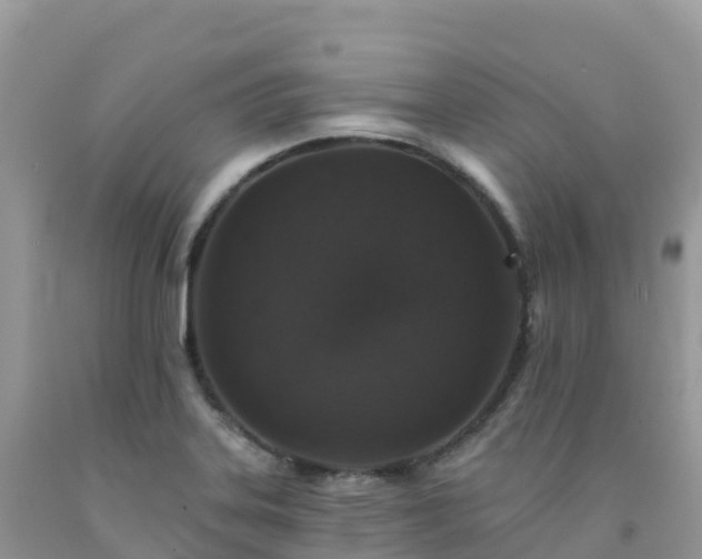X0000092081323200709191217