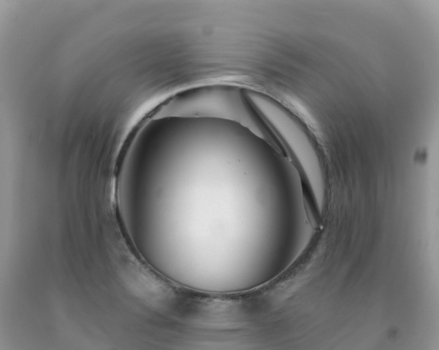 X0000092081324200709191217