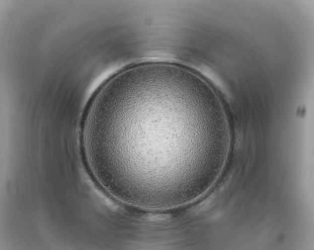 X0000092081325200709191217