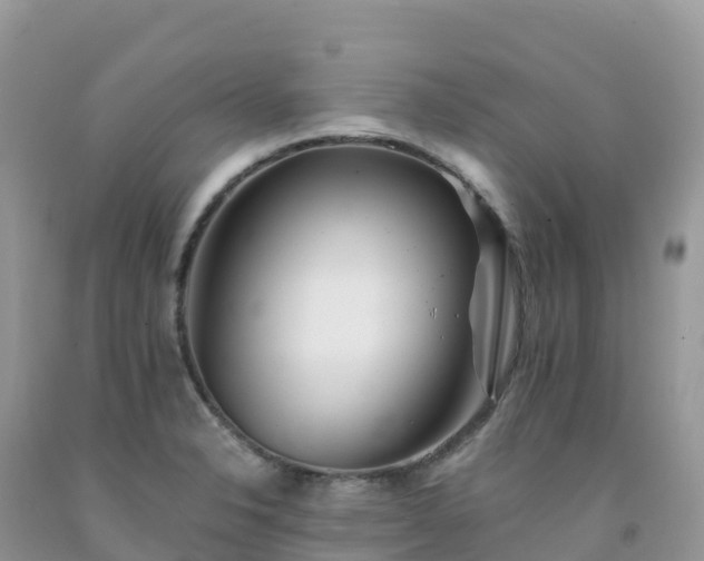 X0000092081326200709191217