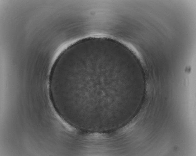 X0000092081327200709191217