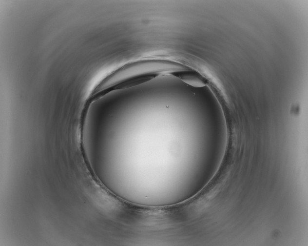 X0000092081328200709191217