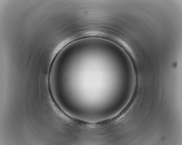 X0000092081330200709191217