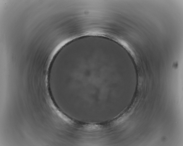 X0000092081331200709191217