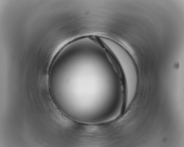 X0000092081332200709191217