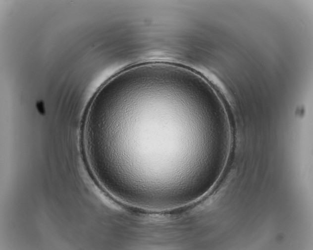 X0000092081333200709191217