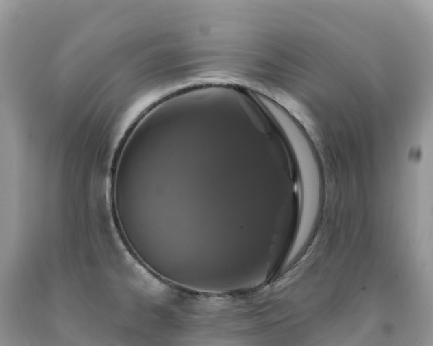 X0000092081334200709191217
