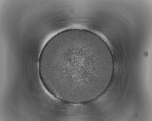 X0000092081335200709191217