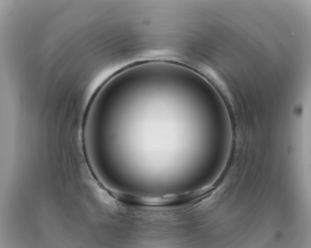 X0000092081336200709191217