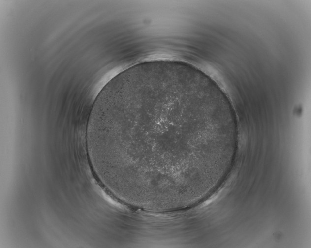 X0000092081337200709191217