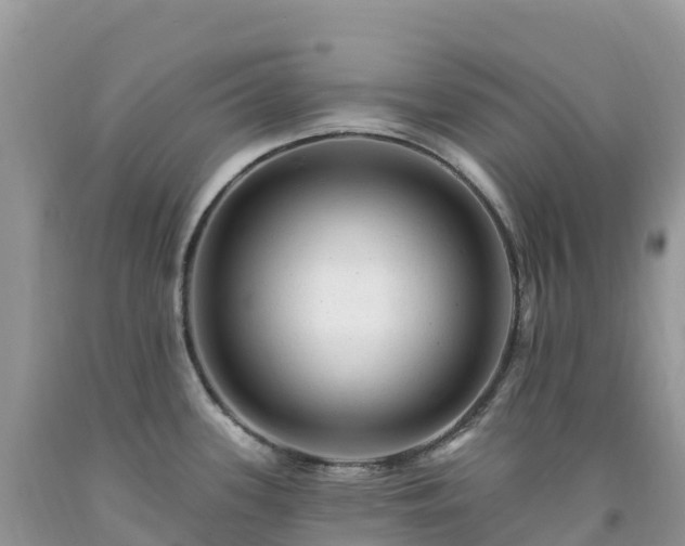 X0000092081339200709191217