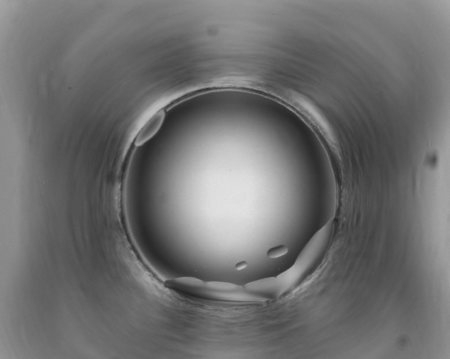 X0000092081340200709191217