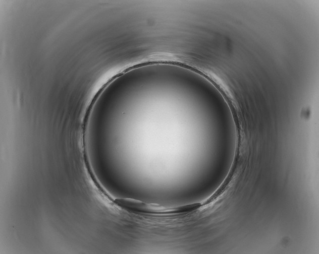 X0000092081342200709191217