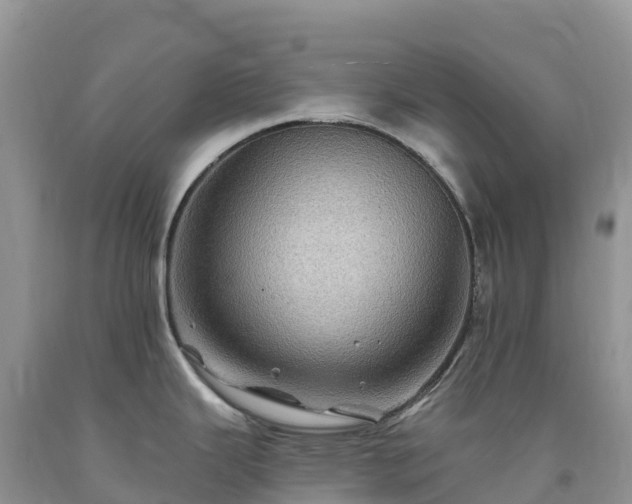 X0000092081343200709191217