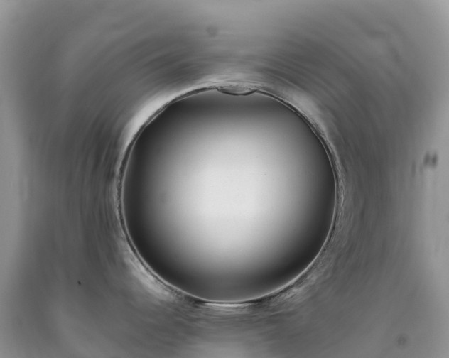 X0000092081344200709191217