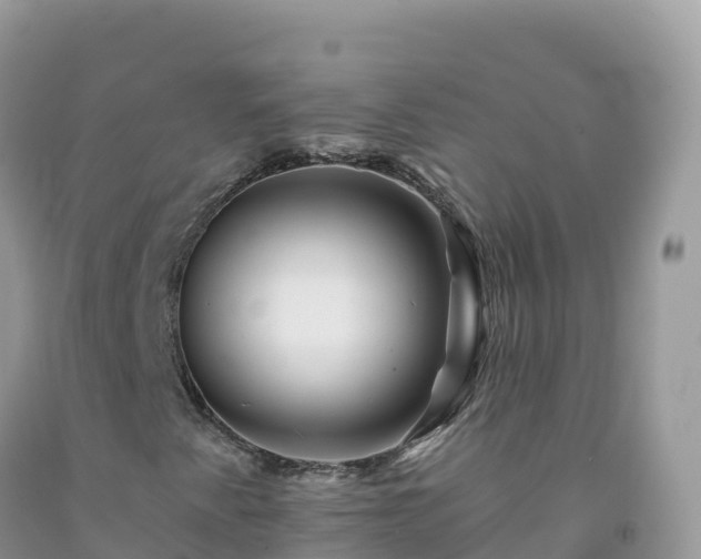 X0000092081345200709191216