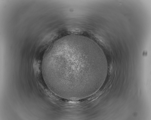 X0000092081346200709191216
