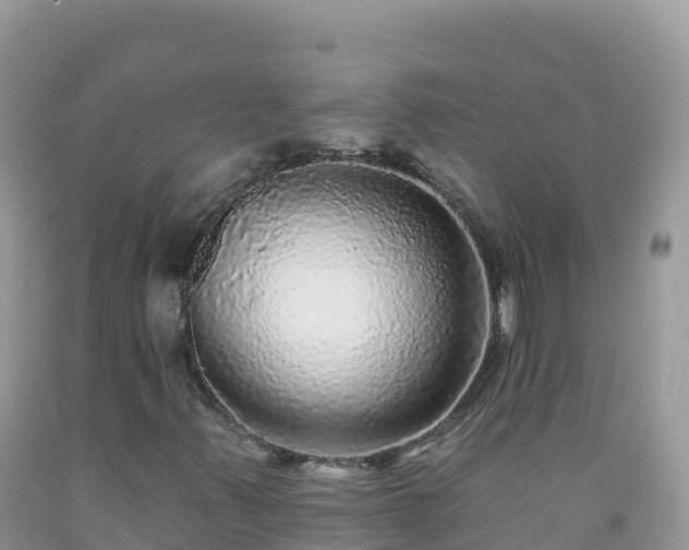 X0000092081347200709191216