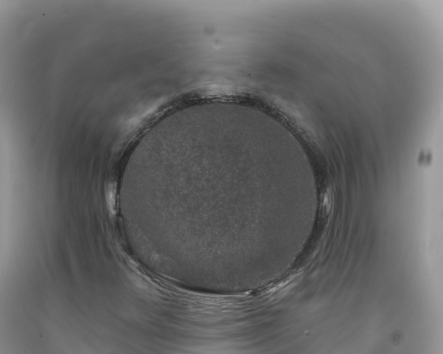 X0000092081348200709191216
