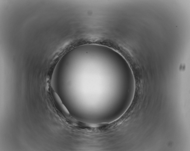 X0000092081349200709191216