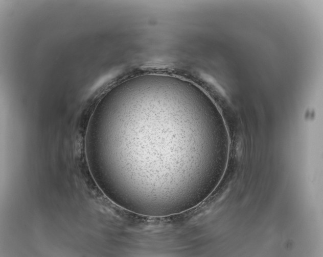 X0000092081350200709191216