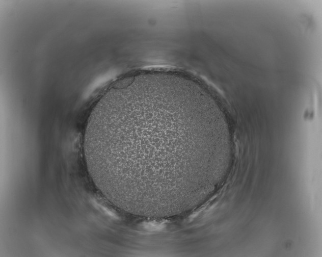 X0000092081351200709191216