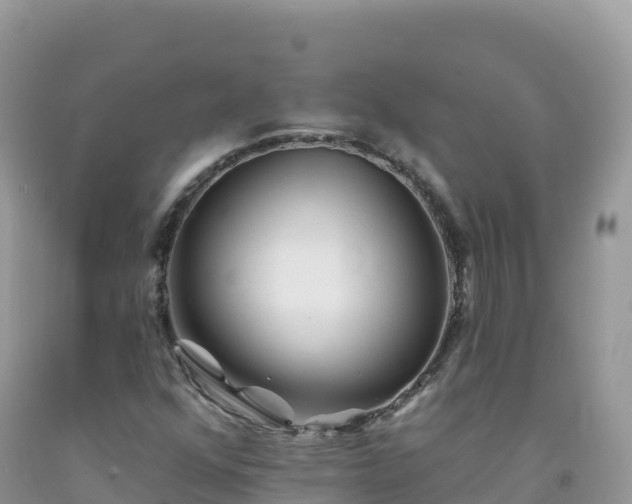 X0000092081352200709191216