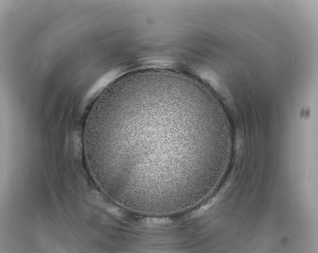 X0000092081354200709191216