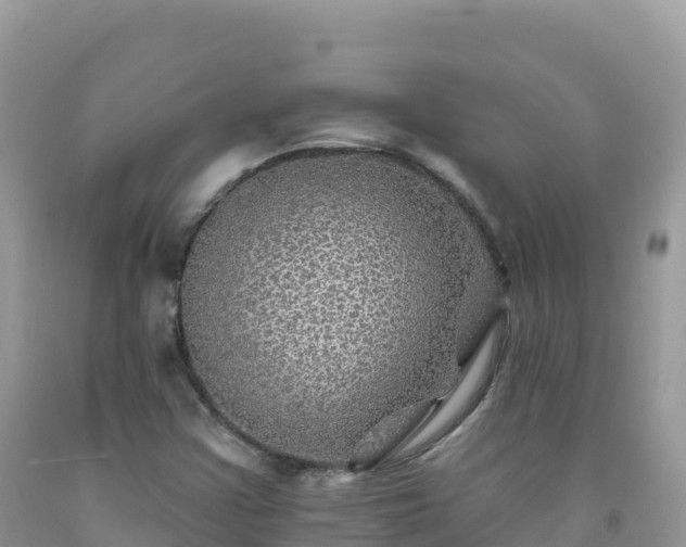 X0000092081355200709191216