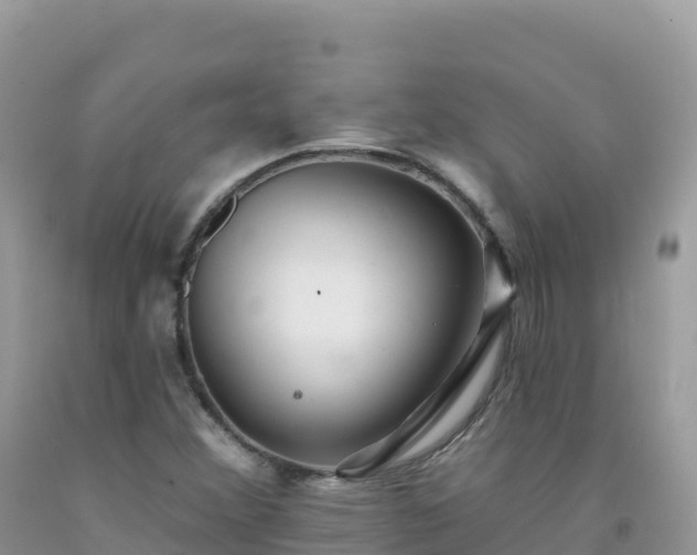 X0000092081356200709191216