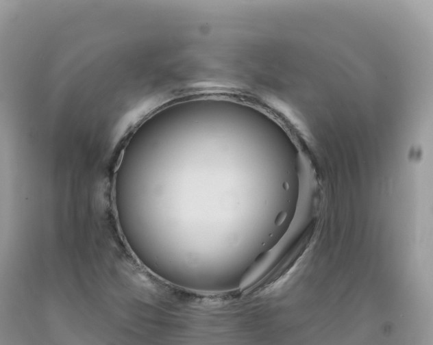 X0000092081357200709191216