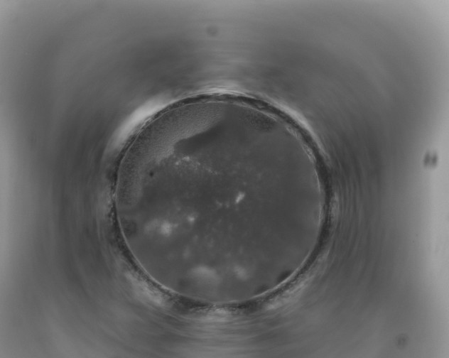 X0000092081359200709191216
