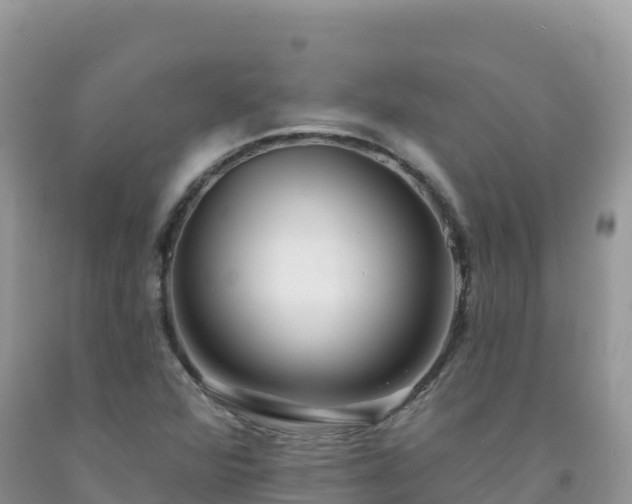 X0000092081360200709191216