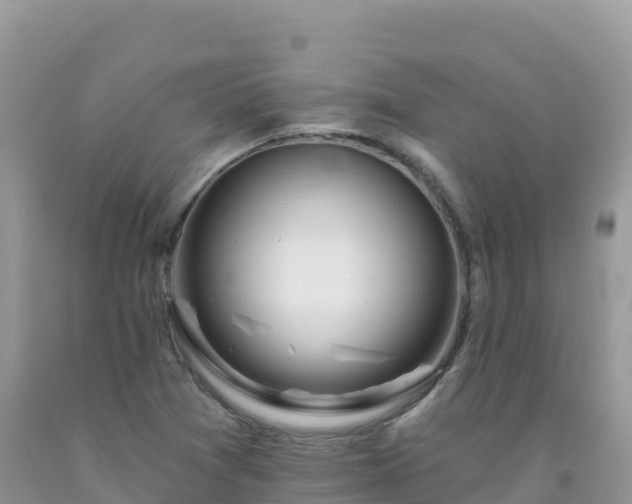 X0000092081361200709191216