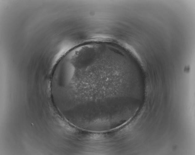 X0000092081362200709191216
