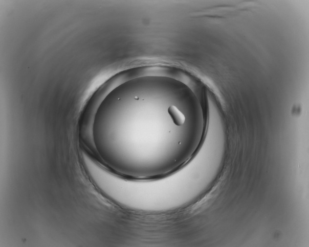 X0000092081365200709191216