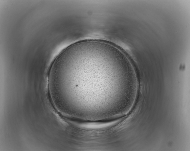 X0000092081366200709191216