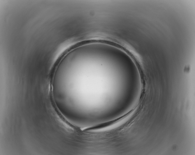 X0000092081368200709191216