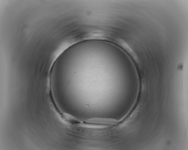 X0000092081370200709191216