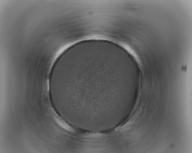 X0000092081372200709191216