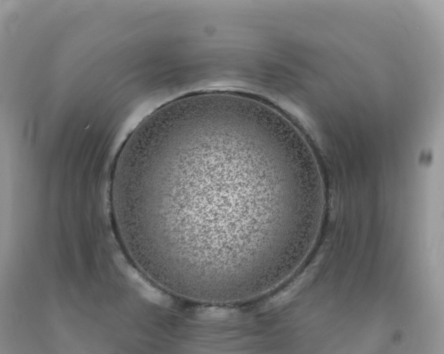 X0000092081374200709191216