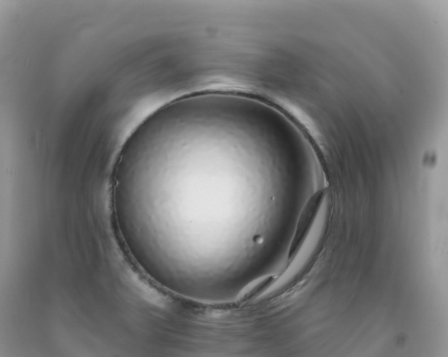 X0000092081375200709191216