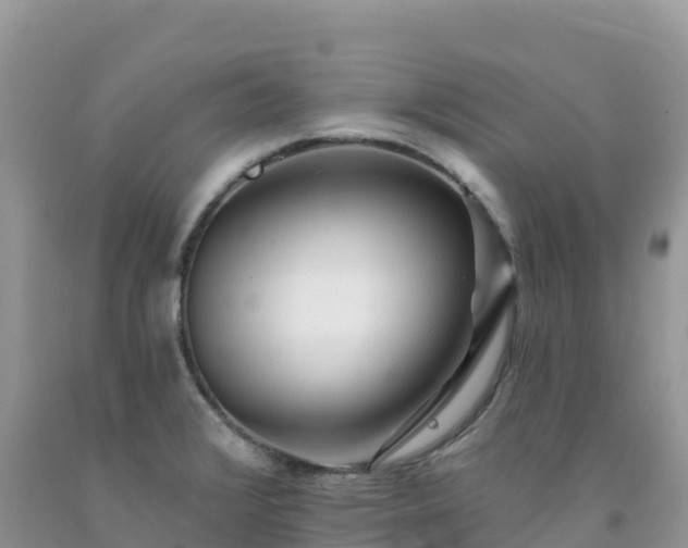 X0000092081376200709191216