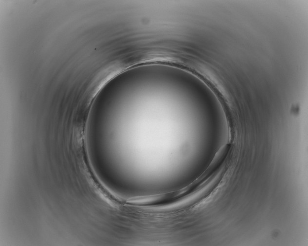 X0000092081377200709191216